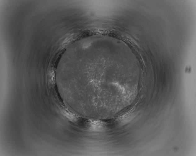 X0000101230336200806271517