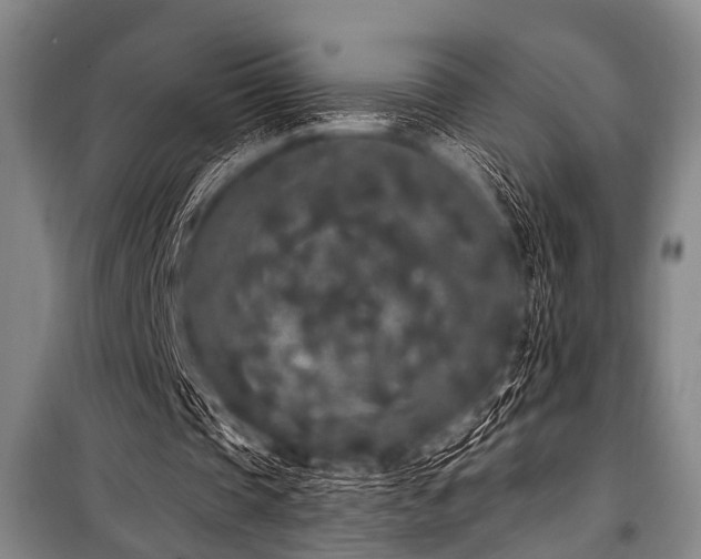 X0000101230337200806271516