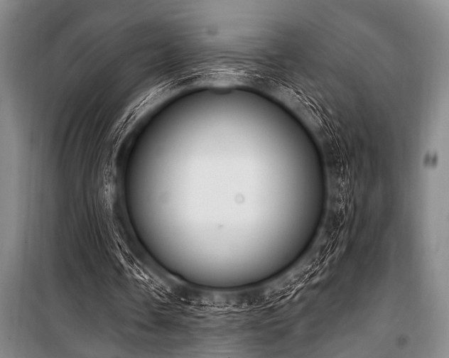 X0000101230338200806271516