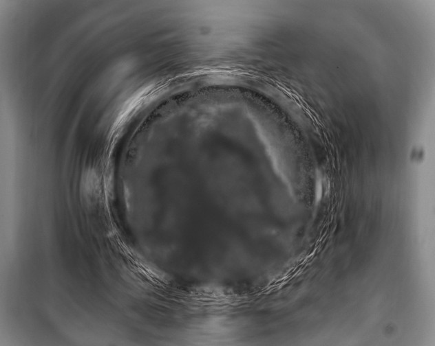 X0000101230339200806271516