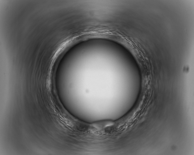 X0000101230340200806271516