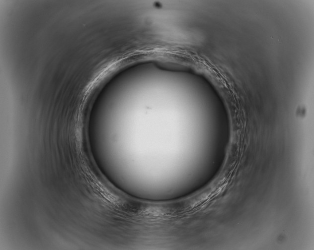 X0000101230341200806271516