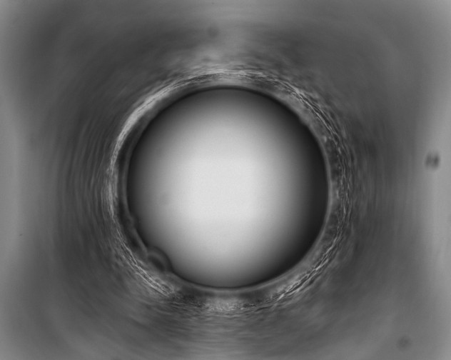X0000101230342200806271516