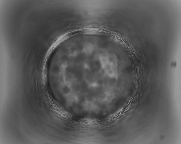 X0000101230343200806271516