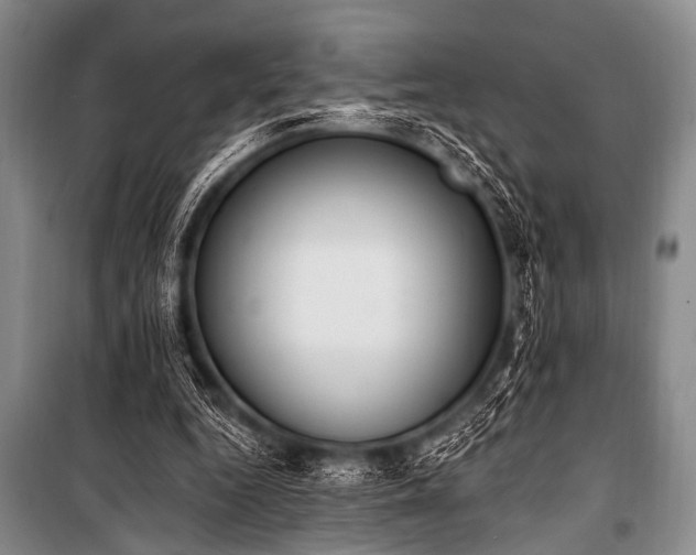 X0000101230344200806271516