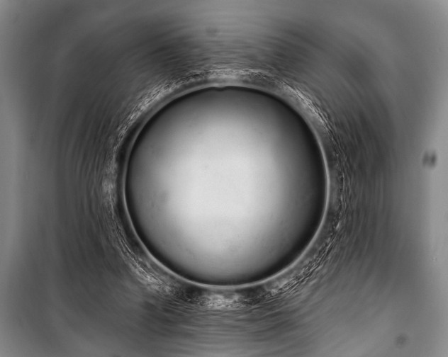 X0000101230346200806271517