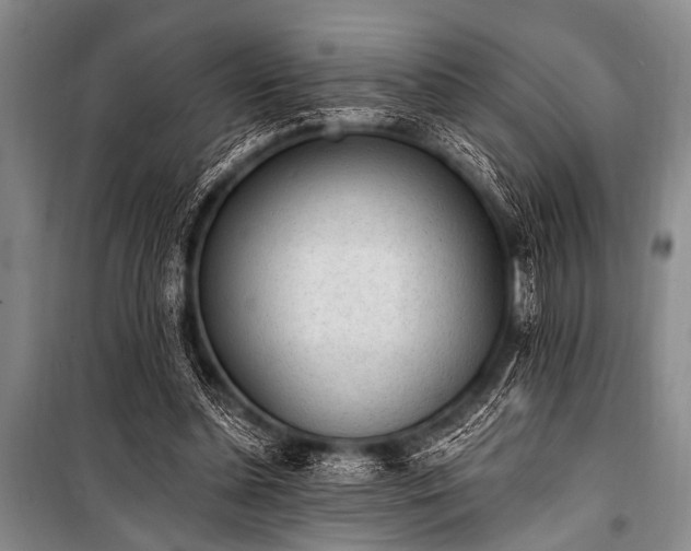 X0000101230348200806271517