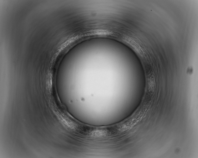 X0000101230350200806271517