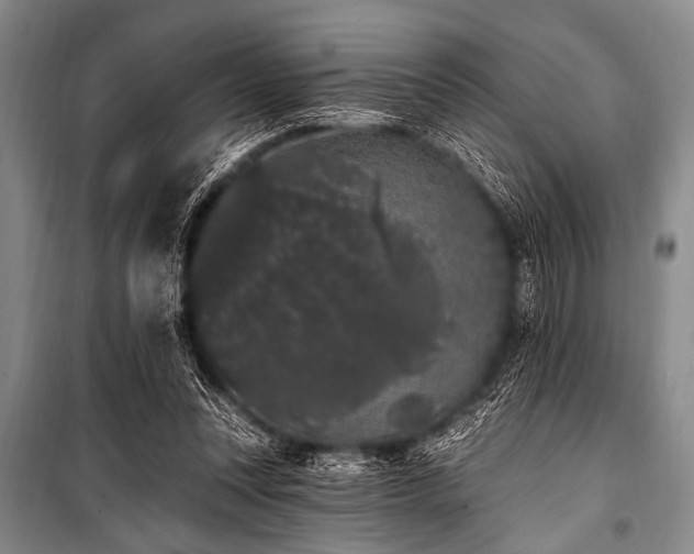 X0000101230351200806271517