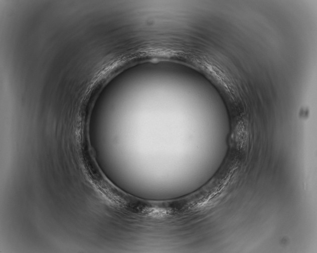 X0000101230352200806271517