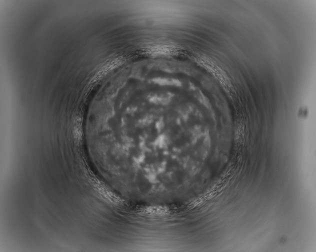 X0000101230353200806271517