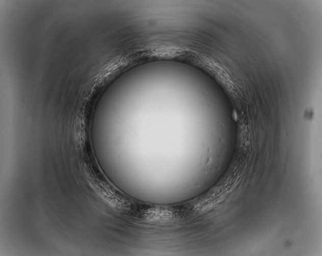X0000101230354200806271517