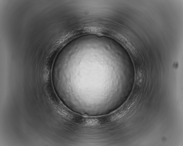 X0000101230355200806271517