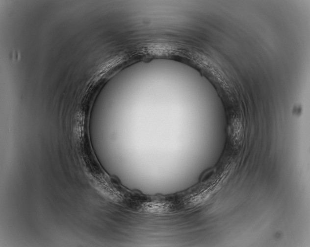 X0000101230356200806271517