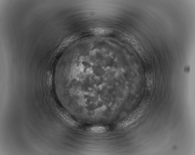 X0000101230357200806271517