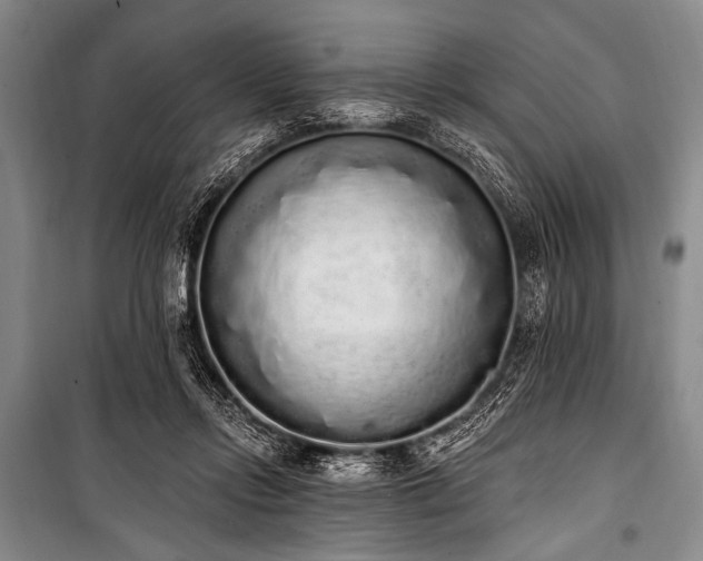 X0000101230358200806271517
