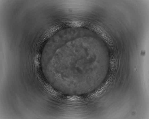 X0000101230359200806271517