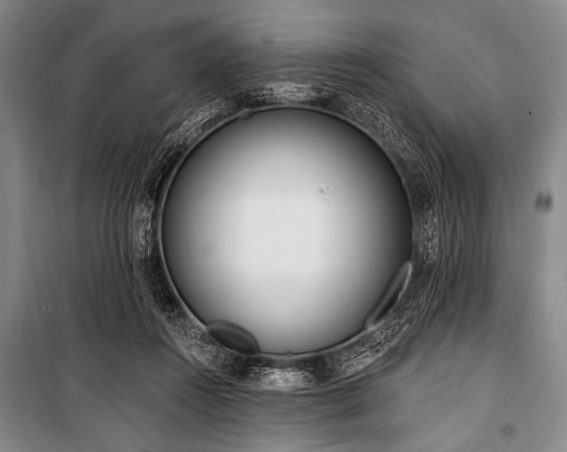 X0000101230360200806271517