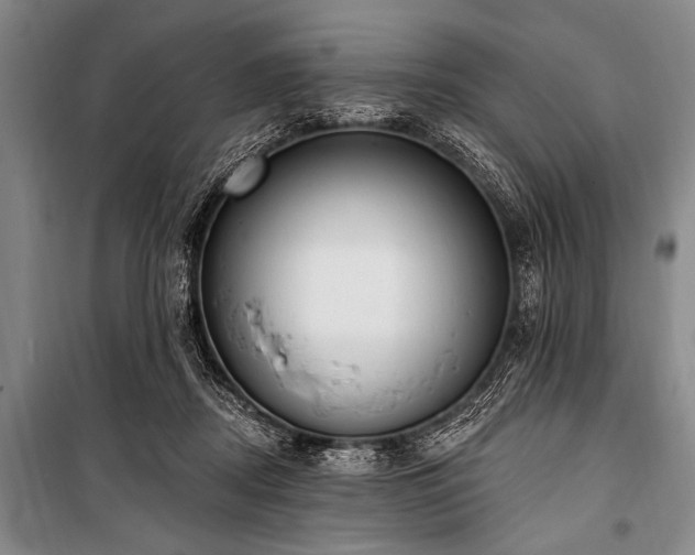 X0000101230362200806271517