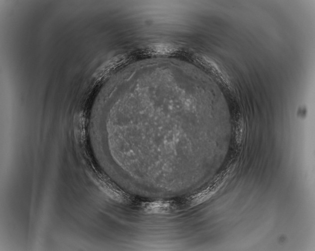 X0000101230366200806271517