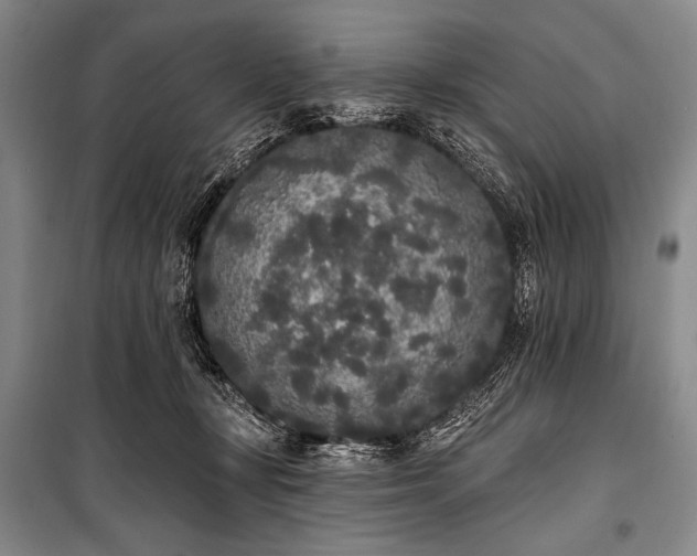 X0000101230367200806271517