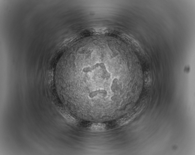 X0000101230369200806271517