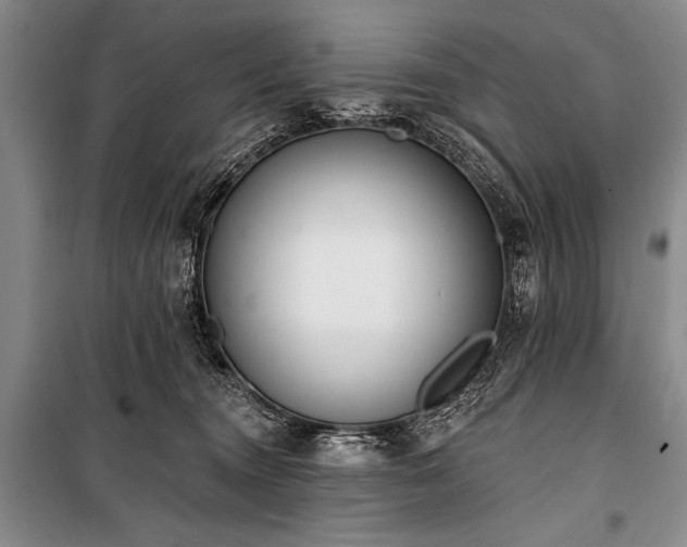 X0000101230372200806271517
