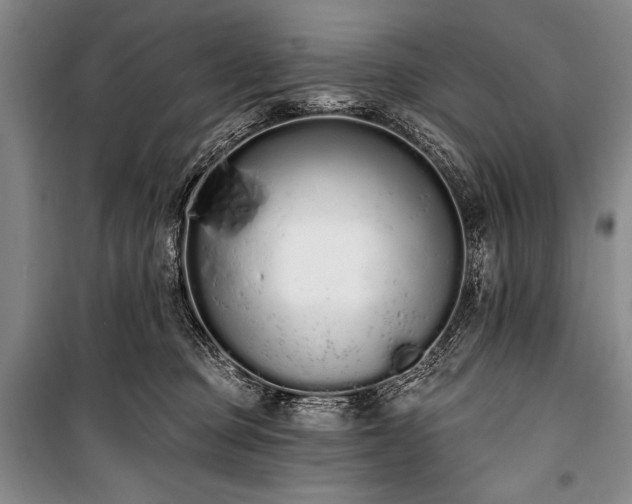 X0000101230373200806271517