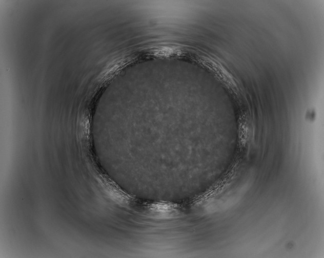 X0000101230375200806271517
