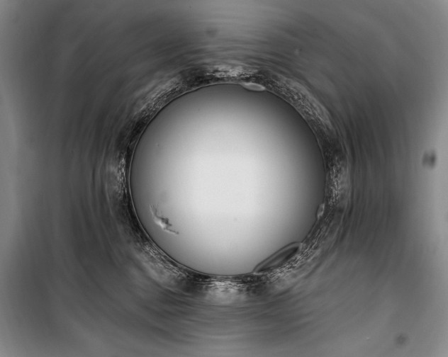X0000101230376200806271517