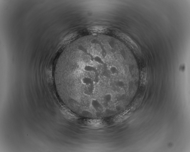 X0000101230377200806271517