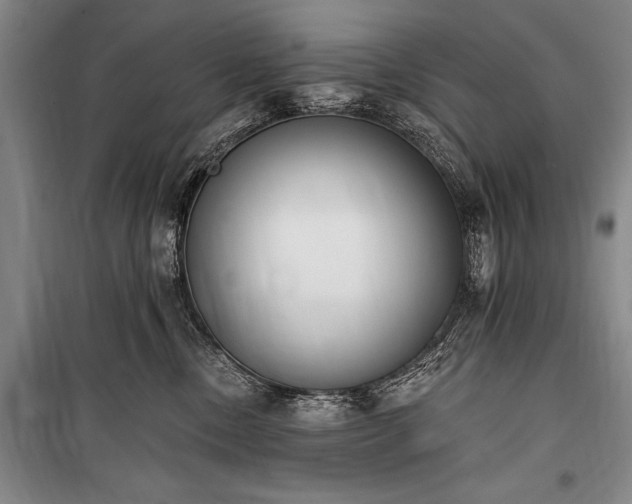 X0000101230378200806271517