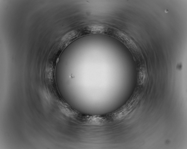 X0000101230379200806271517