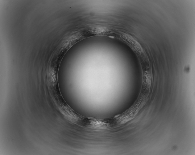 X0000101230380200806271517