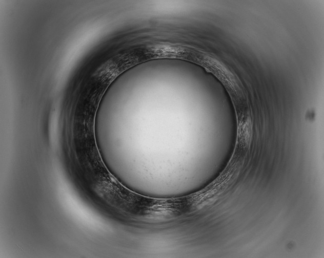 X0000101230381200806271517