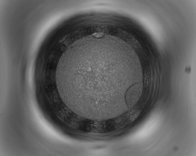 X0000101230383200806271517