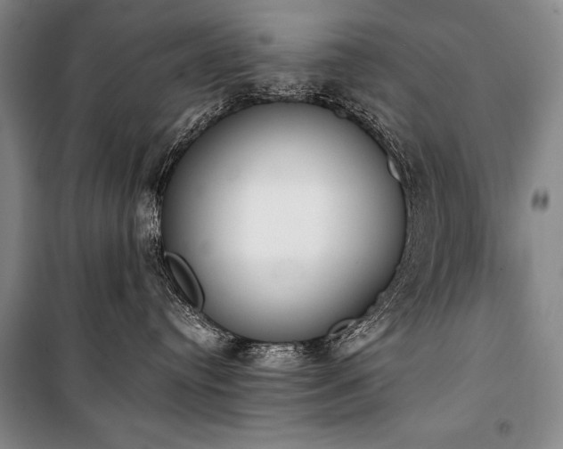 X0000101230384200806271517