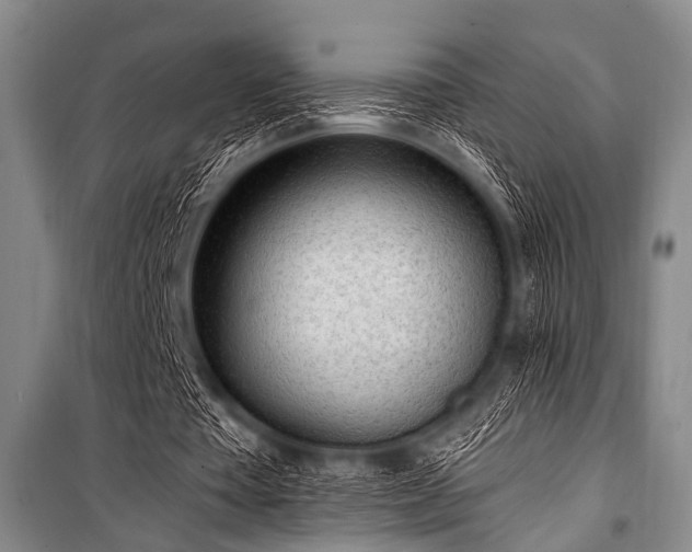 X0000101230385200806271516