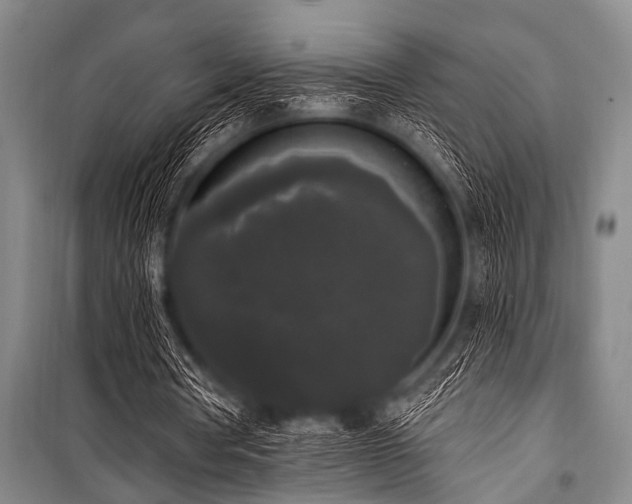 X0000101230386200806271516