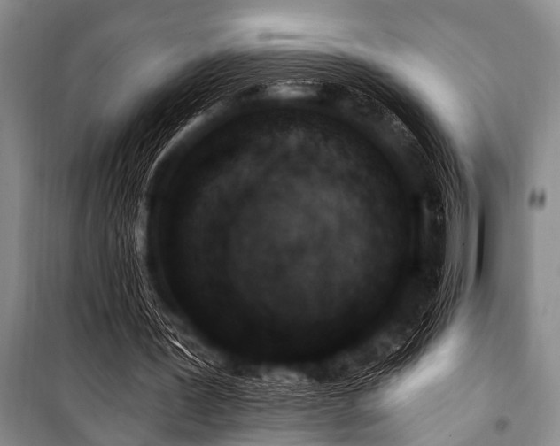 X0000101230387200806271516