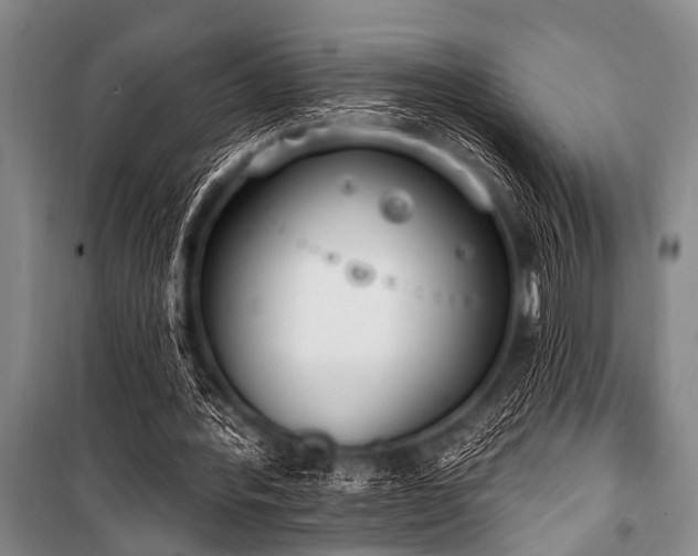 X0000101230388200806271516