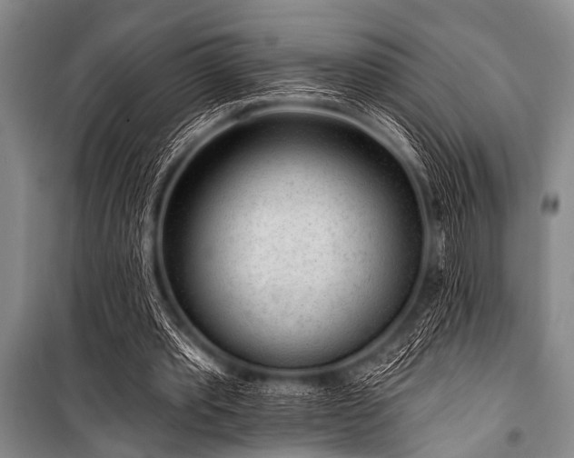X0000101230389200806271516