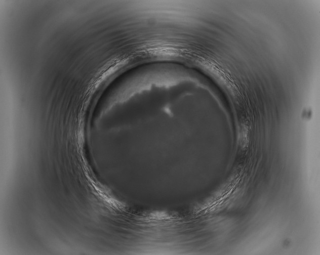 X0000101230390200806271516