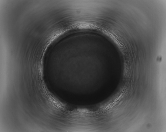 X0000101230391200806271516