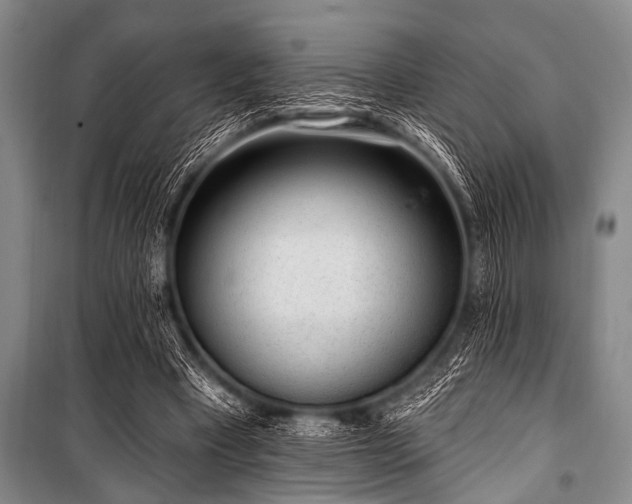 X0000101230393200806271516