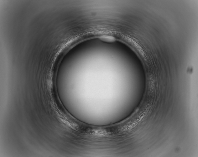 X0000101230395200806271516