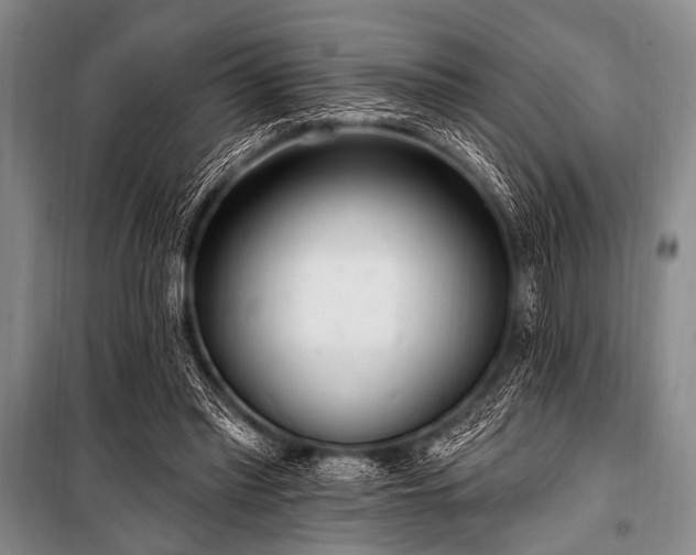 X0000101230397200806271516