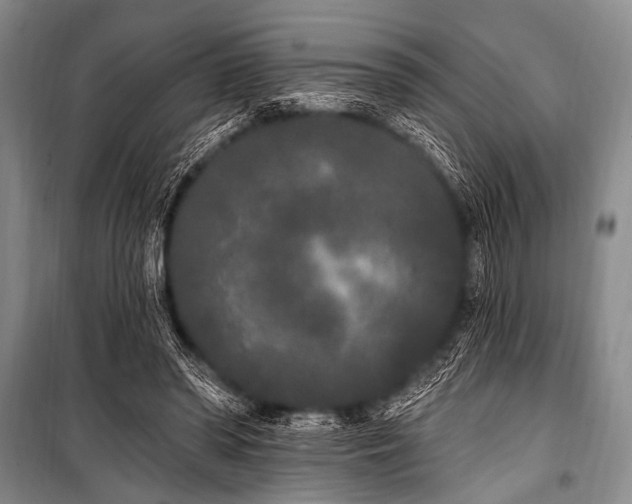 X0000101230398200806271516