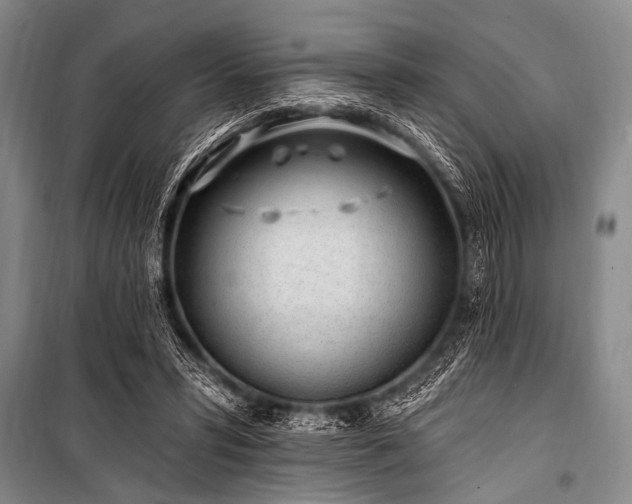 X0000101230399200806271516