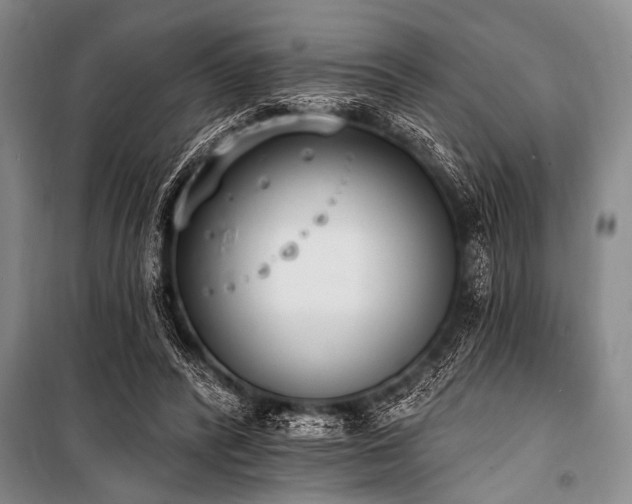 X0000101230400200806271516